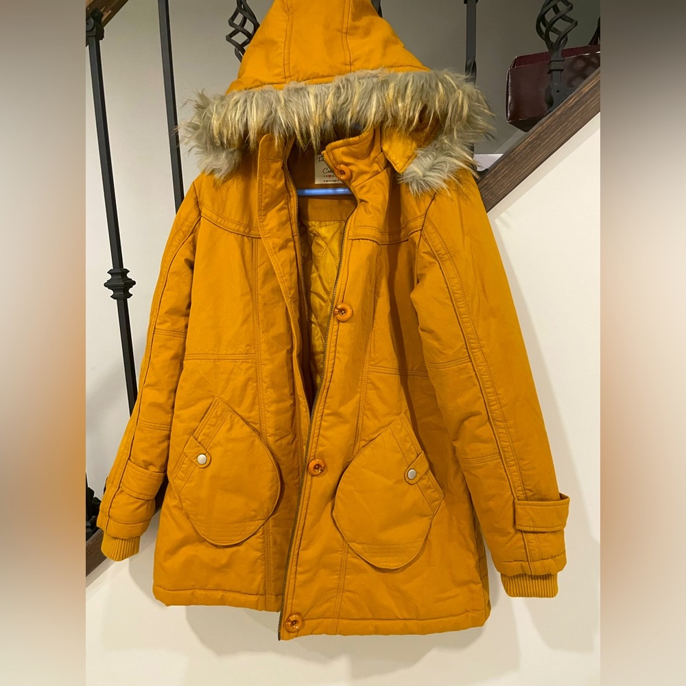Winter Jacket